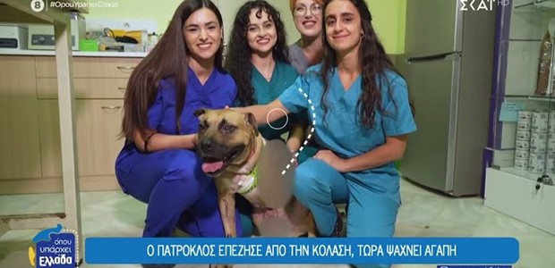 48χρονος έσερνε σκύλο δεμένο στο αυτοκίνητό του (βίντεο)